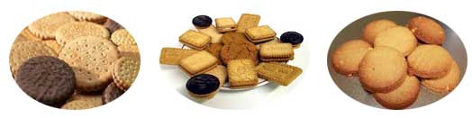 biscuit forming machine manufacturer