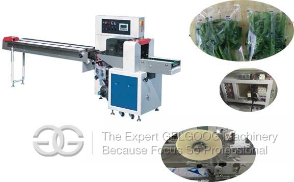 vegetable pillow type packaging machine manufacturer