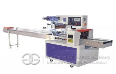 Automatic Horizontal Bag Packaging Machine