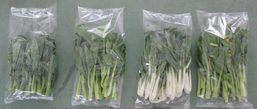 vegetables packing vegetables packing