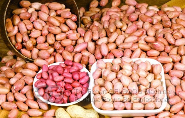 Cashew Nut Roasting Machine Suppliers|Automatic Chana Roaster Plant