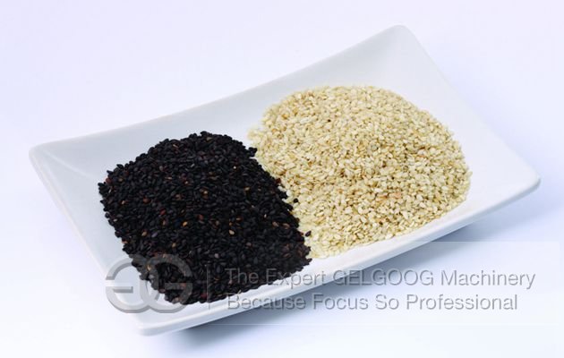 sesame seed sesame seed