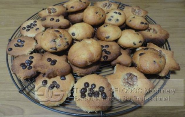 machine for making biscuit machine for making biscuit