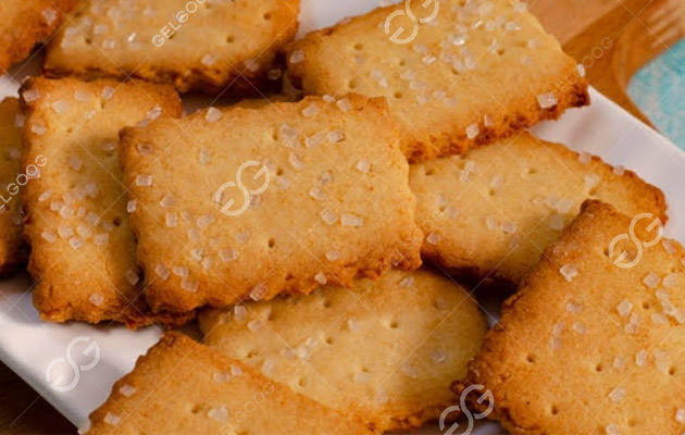 Automatic Biscuit Tunnel Oven Machine in China